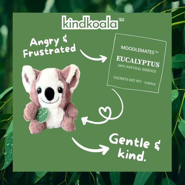 KindKoala Bundle 🐨 From Anger to Kindness