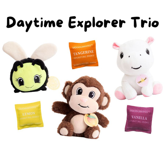 Daytime Explorer Trio 🐝🐒🐨 Inspire Openness & Exploration