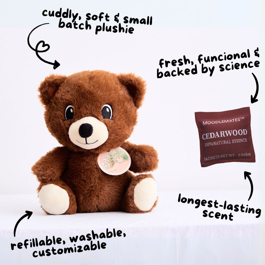 BraveBear Bundle 🐻 From Fear to Courage