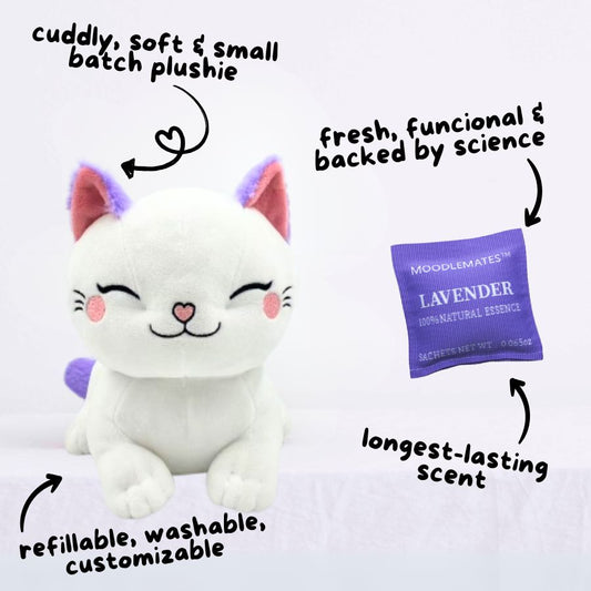 CozyCat Bundle 🐱 From Restlessness to Relaxation