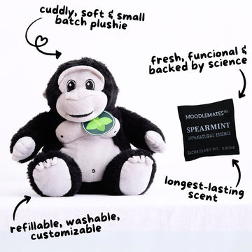 StrongSilverback Bundle 🦍 From Self-Doubt to Confidence