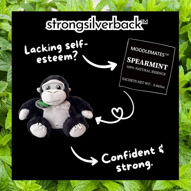 StrongSilverback Bundle 🦍 From Self-Doubt to Confidence