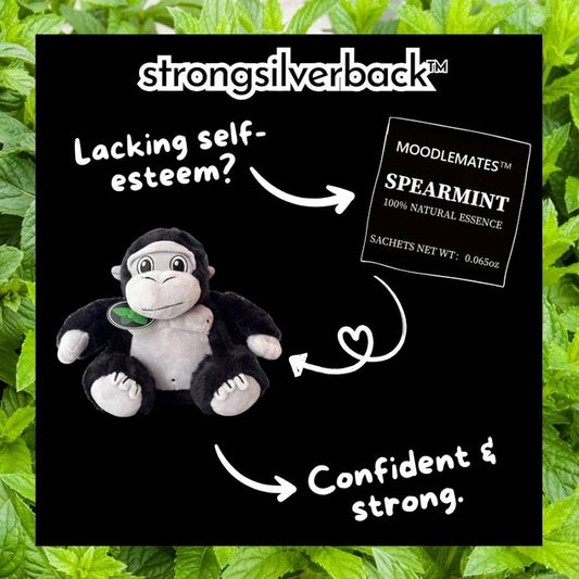 StrongSilverback Bundle 🦍 From Self-Doubt to Confidence