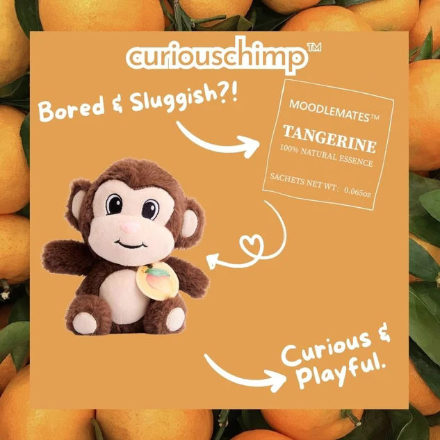CuriousChimp Bundle 🐒 From Boredom to Curiosity