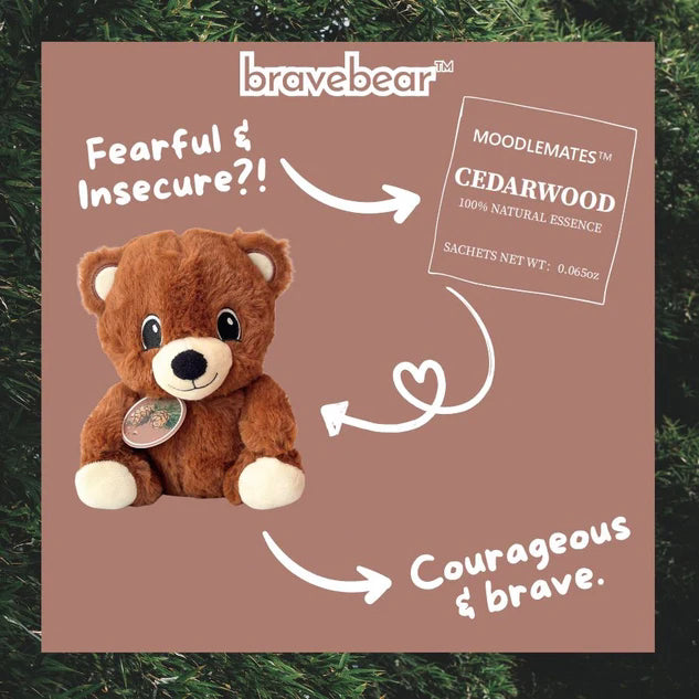 BraveBear Bundle 🐻 From Fear to Courage