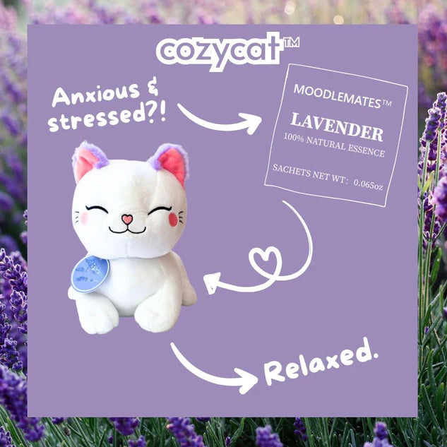CozyCat Bundle 🐱 From Restlessness to Relaxation