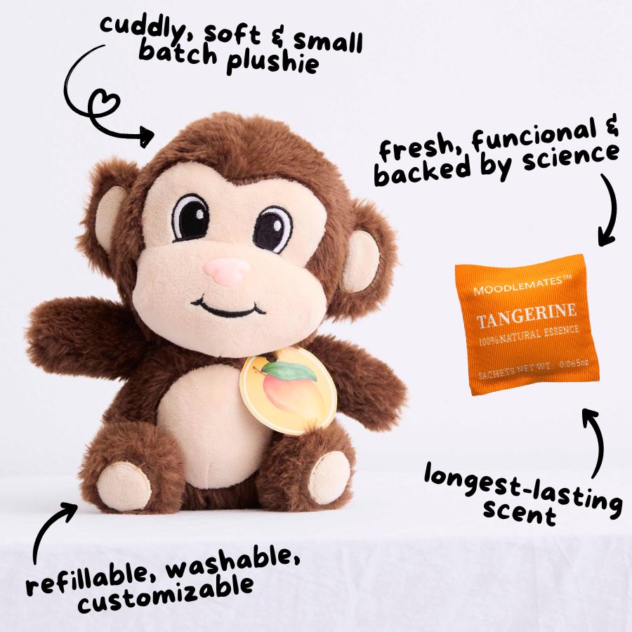 CuriousChimp Bundle 🐒 From Boredom to Curiosity