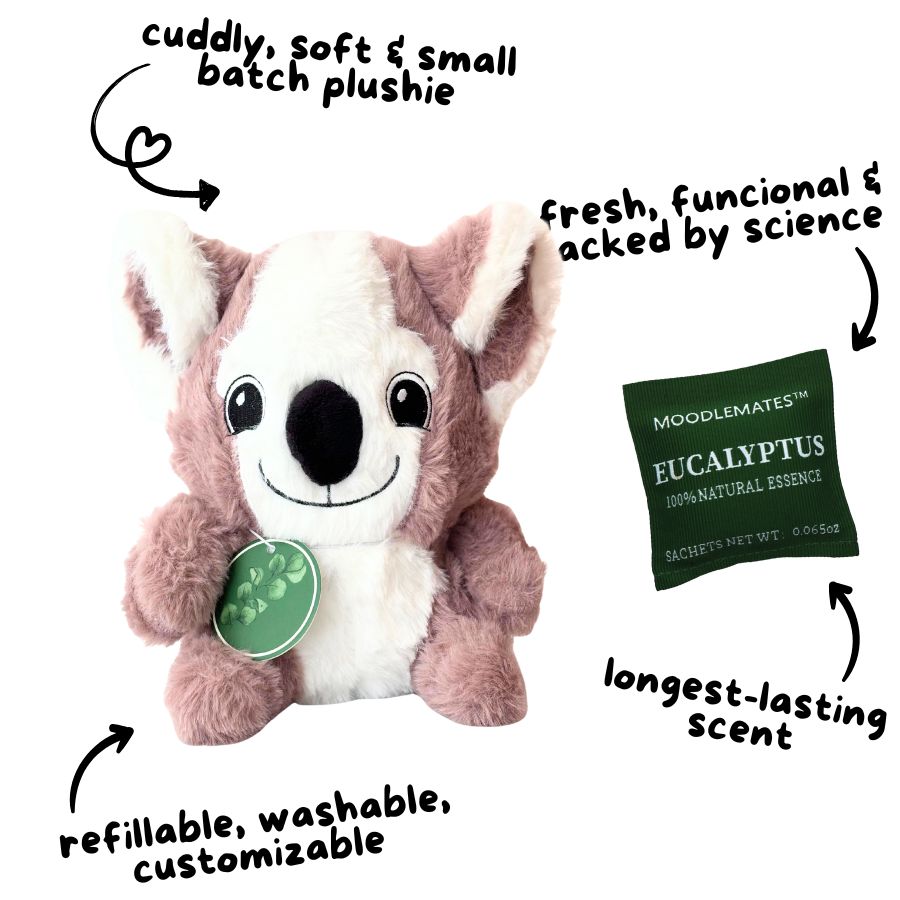 KindKoala Bundle 🐨 From Anger to Kindness