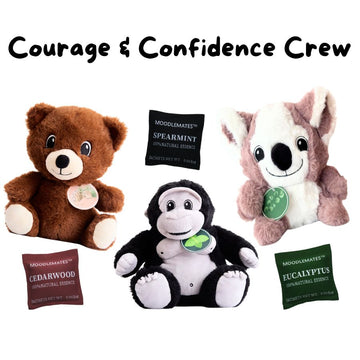Courage & Confidence Crew 🐻🦍🐨 From Fearful Doubt to Confidence & Courage