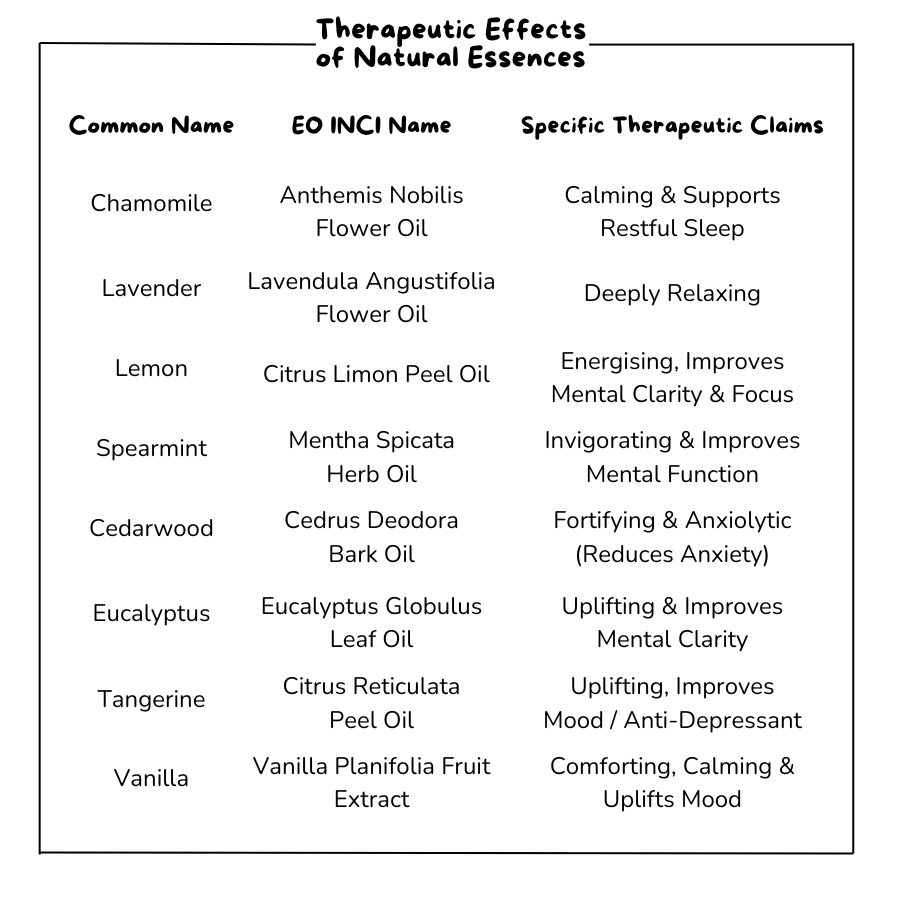 CuriousChimp Bundle 🐒 From Boredom to Curiosity